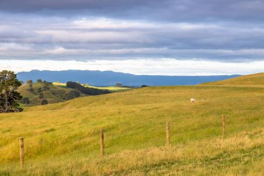 gün batımı manzara Yeni Zelanda kuzey adası