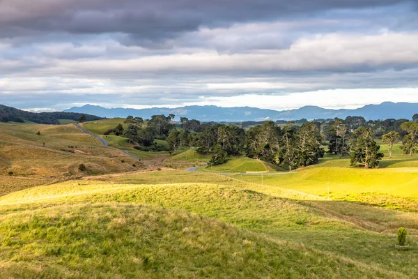 Sunset landscape New Zealand north island — Stock Photo, Image