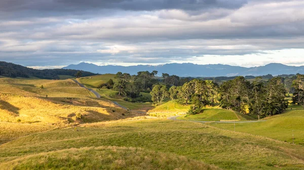 Zonsondergang landschap Nieuw-Zeeland Noordereiland — Stockfoto