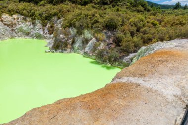 Yeni Zelanda Rotorua jeotermal aktivite