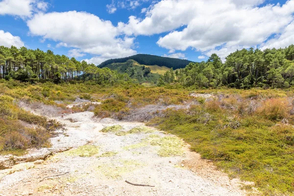 Geothermische activiteit in Rotorua in Nieuw-Zeeland — Stockfoto
