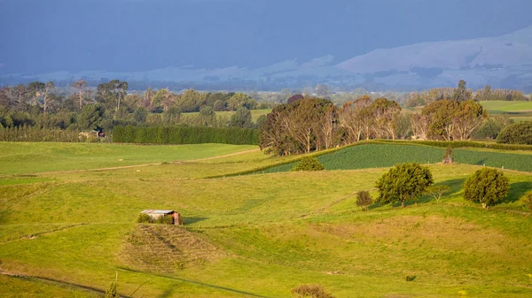 Zonsondergang landschap Nieuw-Zeeland Noordereiland — Stockfoto