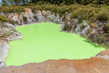 Yeni Zelanda Rotorua jeotermal aktivite