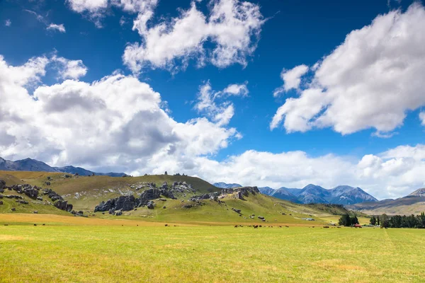 Пейзаж Нової Зеландії Північний острів — стокове фото