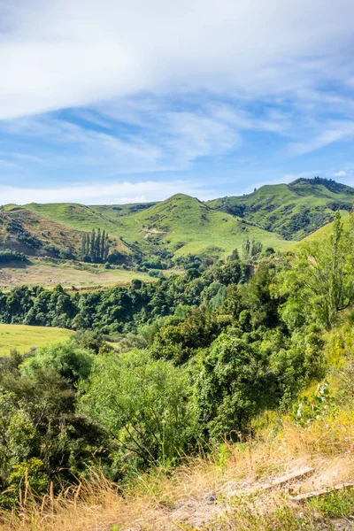 Типичный сельский пейзаж Новой Зеландии — стоковое фото