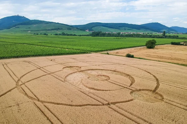 Pole kruhů v obilí Alsasko Francie — Stock fotografie