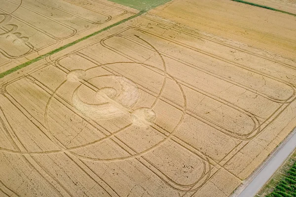 Cerchi nel grano campo Alsazia Francia — Foto Stock