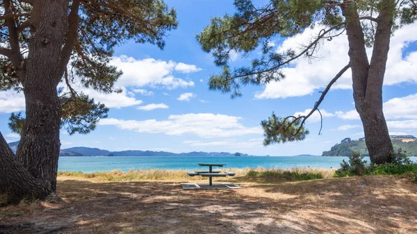 Area di sosta sulla spiaggia nel sud della Nuova Zelanda — Foto Stock