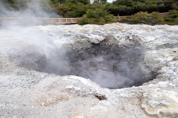Actividad geotérmica en Rotorua en Nueva Zelanda — Foto de Stock