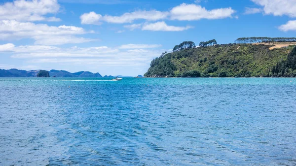 Výhled na oceán na Novém Zélandu Coromandel — Stock fotografie