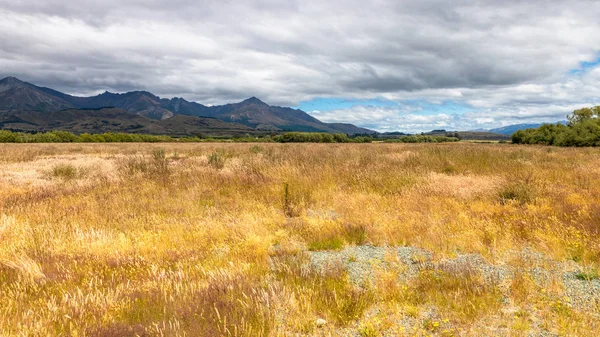 Paisagem de Mararoa no sul da Nova Zelândia — Fotografia de Stock