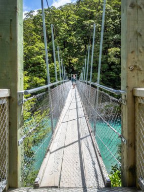 Haast Nehri Landsborough Vadisi Yeni Zelanda