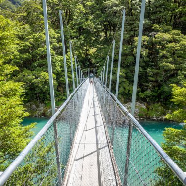 Haast Nehri Landsborough Vadisi Yeni Zelanda