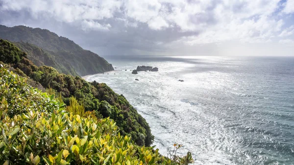 Costa agitada en la isla del sur de Nueva Zelanda —  Fotos de Stock