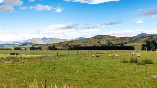 Landschap landschap in Zuid-Nieuw-Zeeland — Stockfoto