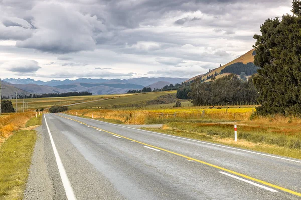 Road to horizon New Zealand south island — Stock Photo, Image