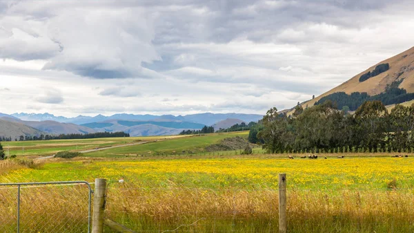 Paisaje en el sur de Nueva Zelanda — Foto de Stock