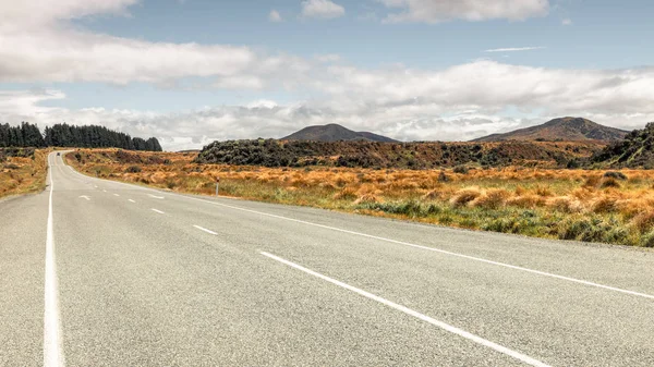 Strada per orizzonte Nuova Zelanda isola meridionale — Foto Stock