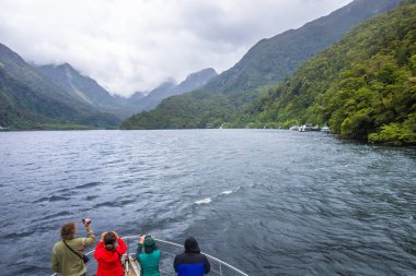 Şüpheli ses Fiordland Milli Parkı Yeni Zelanda