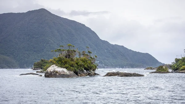 Doubtful Sound Fiordland National Park Impressions New Zealand — Stock Photo, Image