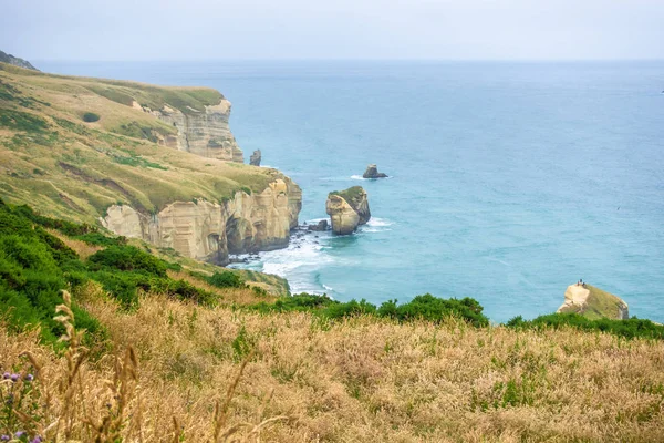 Tunnel Beach Nova Zelândia Imagens De Bancos De Imagens