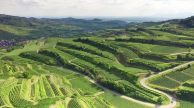 Kaiserstuhl Almanya'da havadan görünümü bağ manzarası