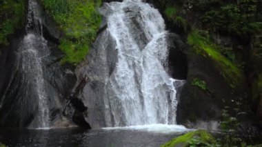 Kara orman alanında Wasserfall Almanya Triberg