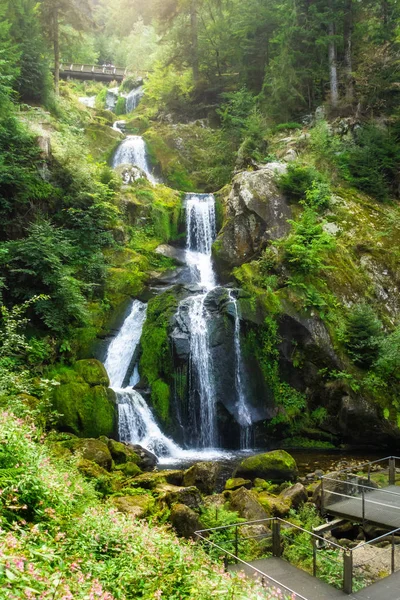 Καταρράκτης στο Triberg στην περιοχή του μαύρου δάσους Γερμανία — Φωτογραφία Αρχείου