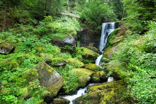 Vattenfall vid Triberg i det svarta skogsområdet Tyskland — Stockfoto