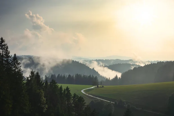 Mlhavá krajina se stromy — Stock fotografie