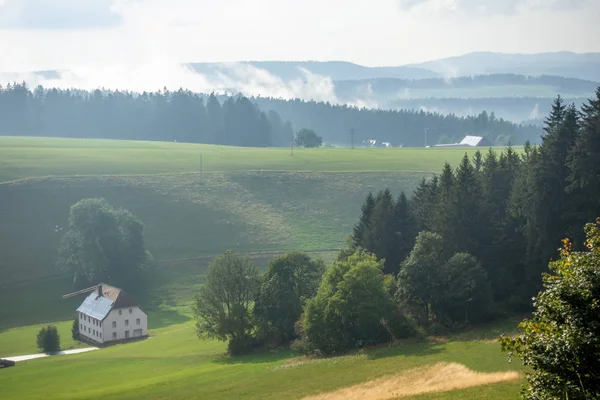 Mlhavá krajina se stromy — Stock fotografie