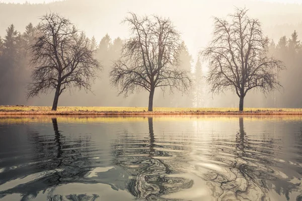 Tre alberi autunno paesaggio lacustre — Foto Stock