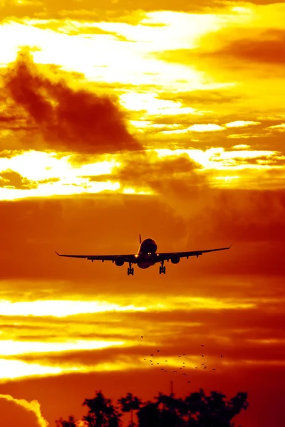 Avião no céu por do sol — Fotografia de Stock