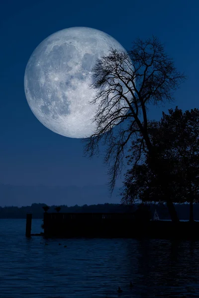 Pełnia księżyca z odbiciami jeziora drzew — Zdjęcie stockowe
