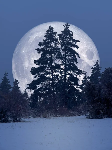 Noite cenário de inverno com lua cheia — Fotografia de Stock