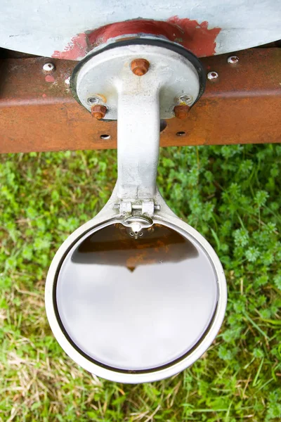 Livestock watering — Stock Photo, Image