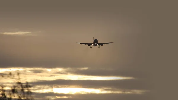 Air plane in sunset sky — Stock Photo, Image