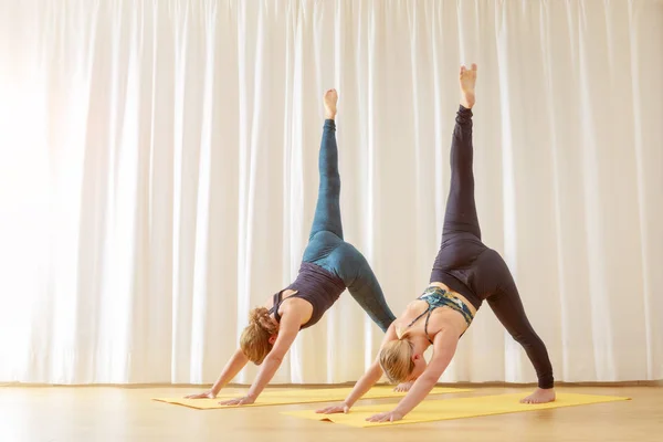 Yoga a casa giù cane spaccato posa — Foto Stock