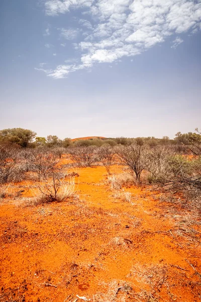 Landschaps landschap van de Australische Outback — Stockfoto