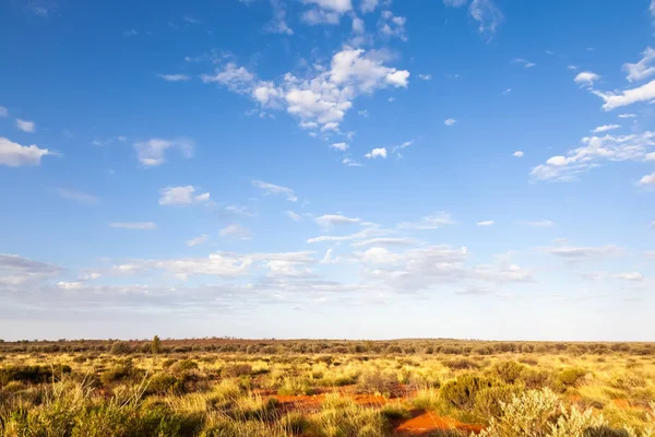 Landschaft des australischen Outbacks — Stockfoto