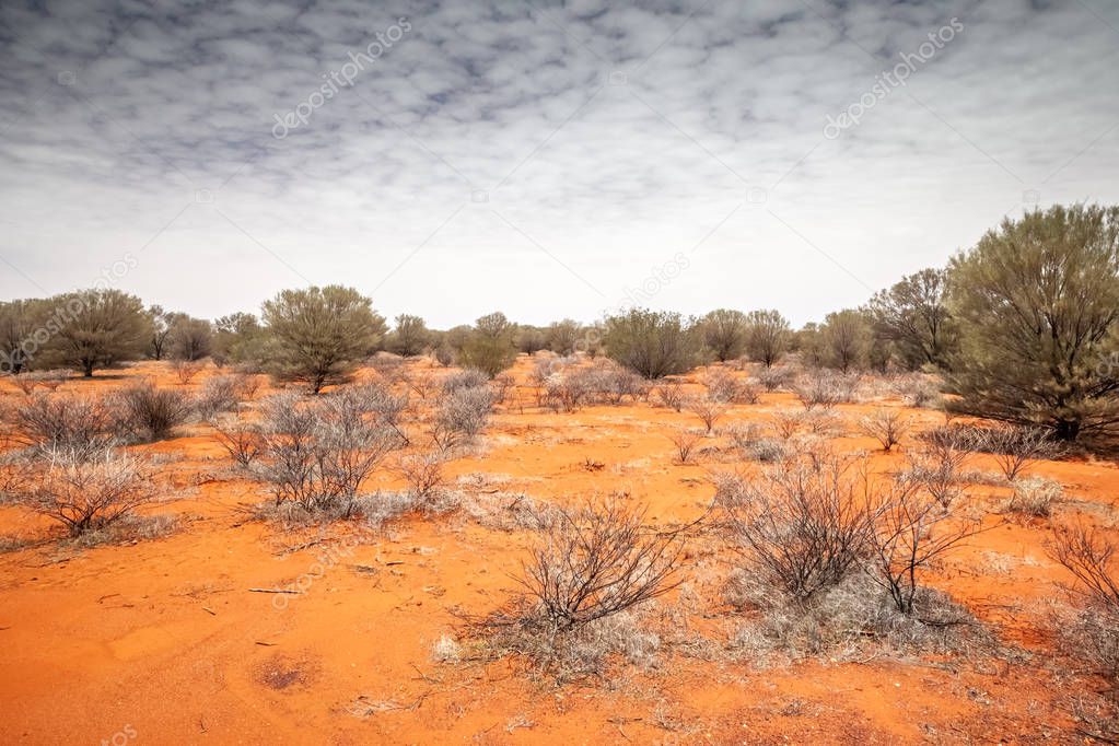 landscape scenery of the Australia outback