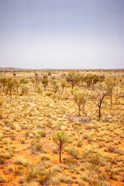 Paisagem do outback da Austrália — Fotografia de Stock