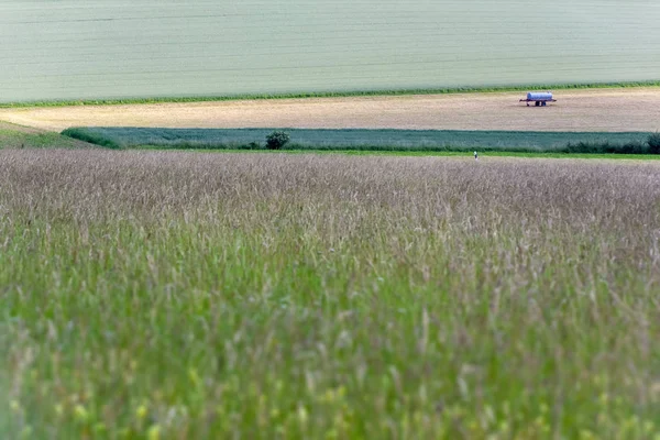 Rural landscape scenery — Stock Photo, Image