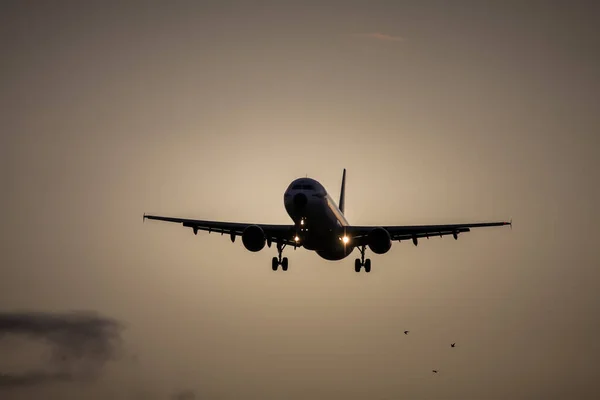 Flugzeug am Himmel bei Sonnenuntergang lizenzfreie Stockbilder