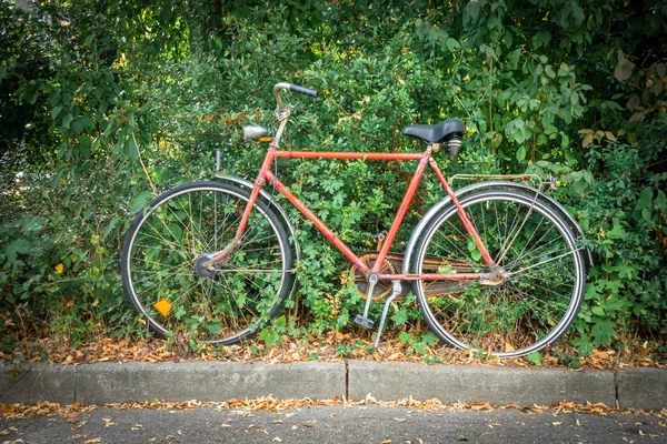在树篱中的旧自行车 — 图库照片