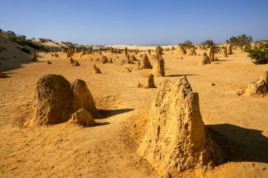 An image of the Pinnacles sand desert Western Australia clipart
