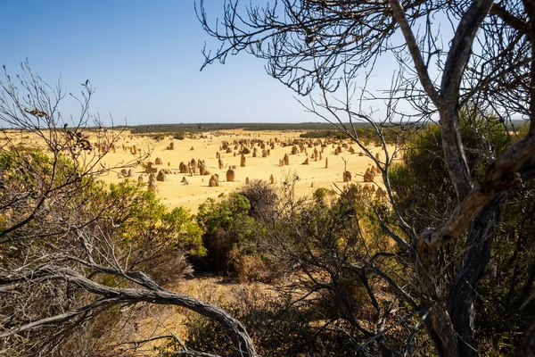 Immagine Del Deserto Sabbia Pinnacles Australia Occidentale — Foto Stock