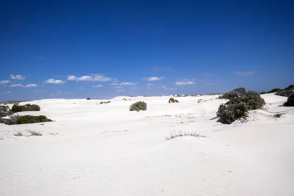 Une Image Paysage Sable Blanc Des Dunes Ouest Australie — Photo