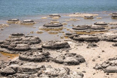 Stromatolites Gölü 'nün bir görüntüsü Batı Avustralya