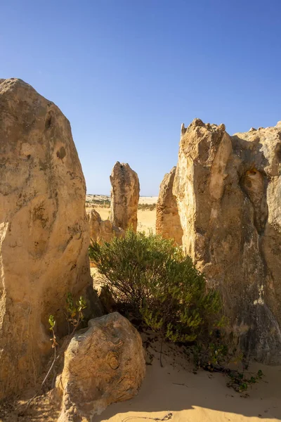 Une Image Désert Sable Des Pinnacles Australie Occidentale — Photo